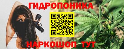 a pvp Гусев