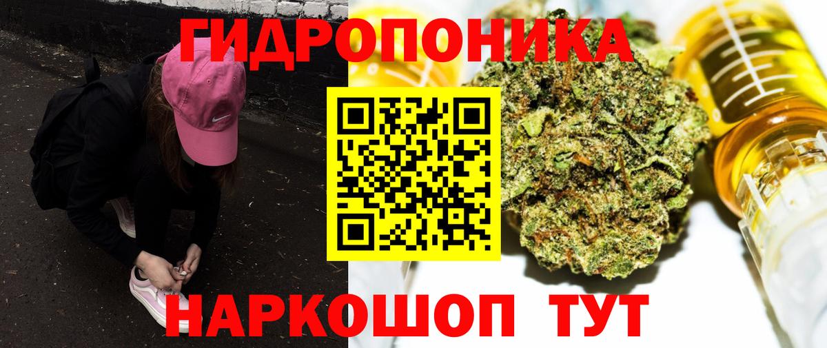 Бошки Шишки тримм  Вход с VPN  Конопля конопля  Набережные Челны  Шишки марихуана White Widow 